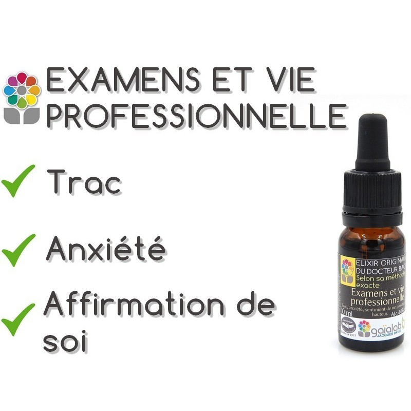 Elixir composé EXAMENS ET VIE PROFESSIONNELLE