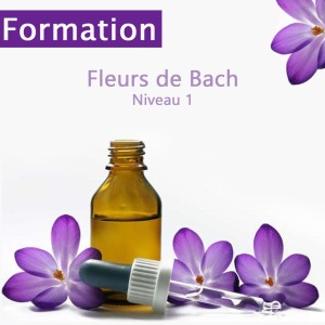 Formation fleurs de Bach niveau 1 agrément centre Bach de France