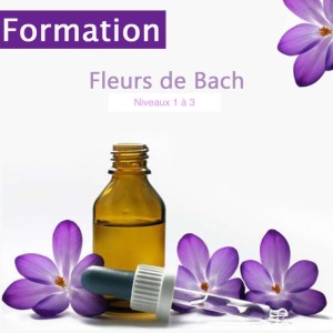 Formation fleurs de Bach...